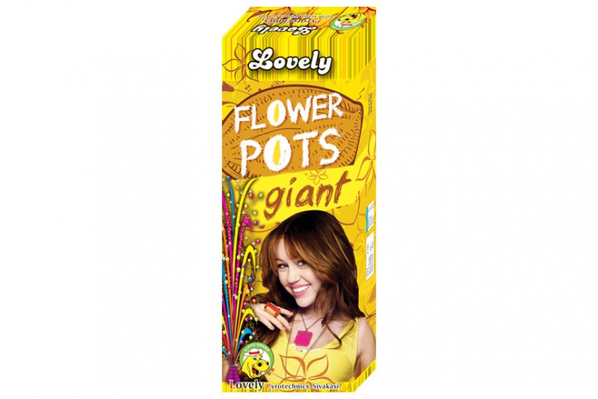 Flower Pots Gaint